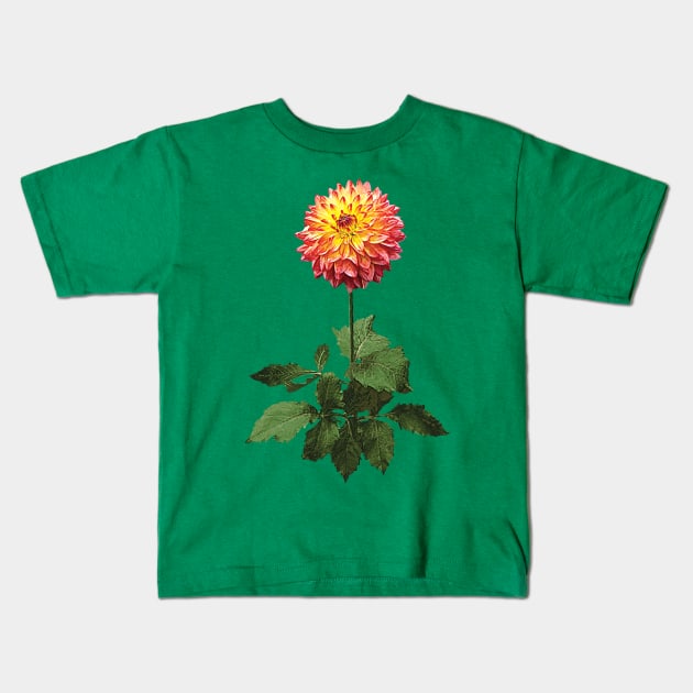 Dahlia Normandy Zachery Kids T-Shirt by SusanSavad